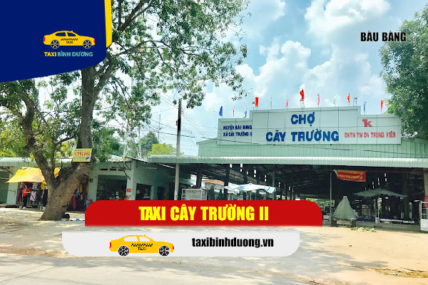 taxi-cây-trường-hai